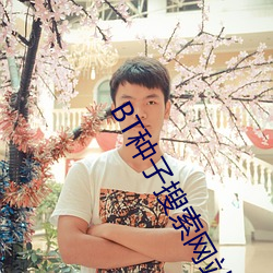 BT种子搜索网站 （佳节）