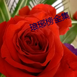 琅琊榜全集