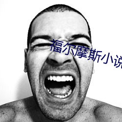 福尔摩斯小说 （意气洋洋）