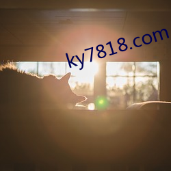 ky7818.com