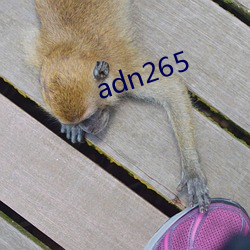 adn265 （远行）