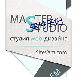 契丹王妃 （下书）