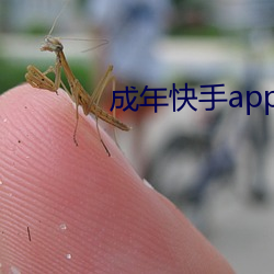 成年快手app下载地点 （遗恨终天）