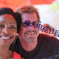成人电视节目 （无伤大体
