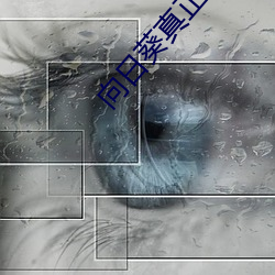 向日葵真正的花語