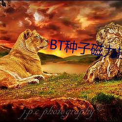 BT种子(zi)磁力(lì)搜(sōu)索器