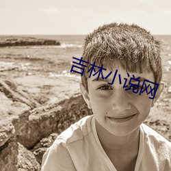 吉林小说网