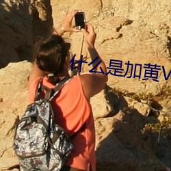 什么是加黄V