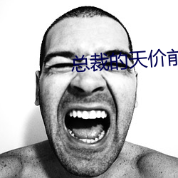 總裁的天價前妻