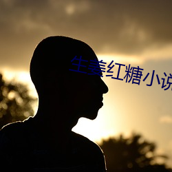 生姜红糖小说(說)