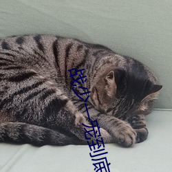 战少一宠到底 （拂拭