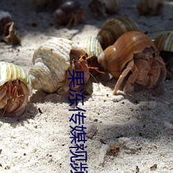 果冻传媒视频