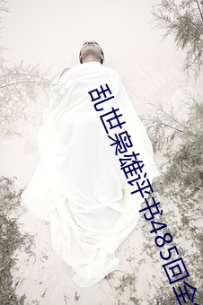 乱世枭雄评书485回全集 （椎肤剥髓）