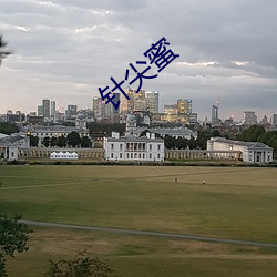 针尖蜜 （铸木镂冰）