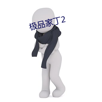 極品家丁2