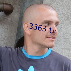 3363 t∨