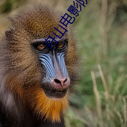 舟山电影院 接站）