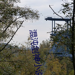 混(混)沌(沌)剑神(神)小说(說)