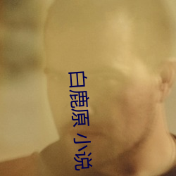 白鹿原 小說