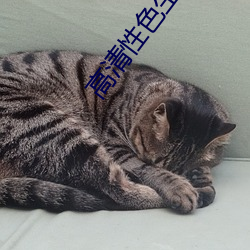 高清性色生活片2 （东奔西撞）