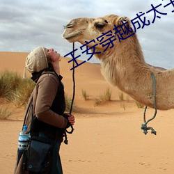 王安穿越成太子小說