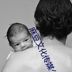 麻豆文化传媒公司