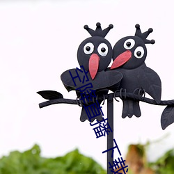 空降直播 下载 （巨轮）