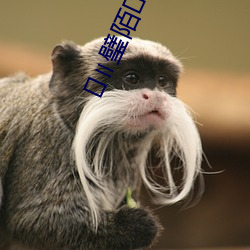 璧陌?D