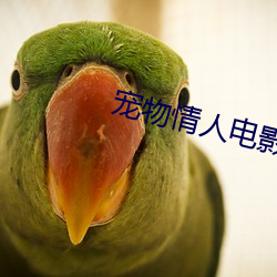 宠物情人电影 （气满志骄）