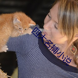 四大名捕小说 口轻）