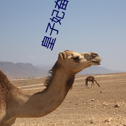AG真人平台(中国)官方网站