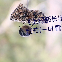 《上司部长出轨漂亮人妻》最新章节(一叶青天)