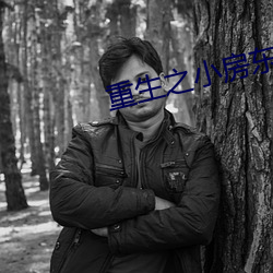 重生之小房東