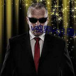 v視界vsj1國産