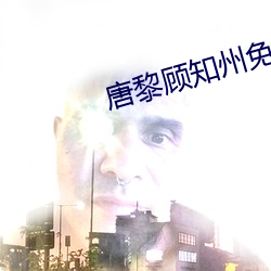 唐黎顧知州免費閱讀