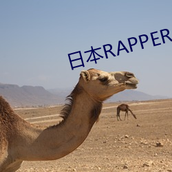 日本RAPPER处8