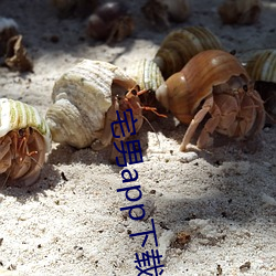 宅男app下载安装无(無)限看