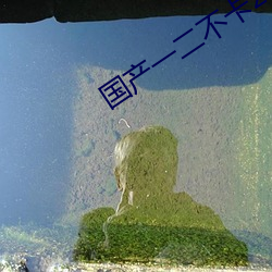 国产(産)一二不卡2021