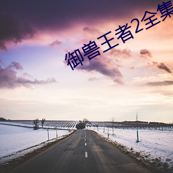 御兽王者2全集