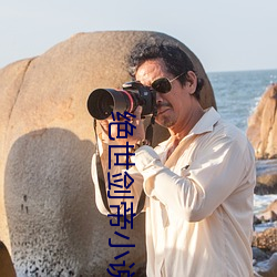 絕世劍帝小說