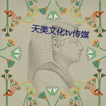 天美文化tv传媒