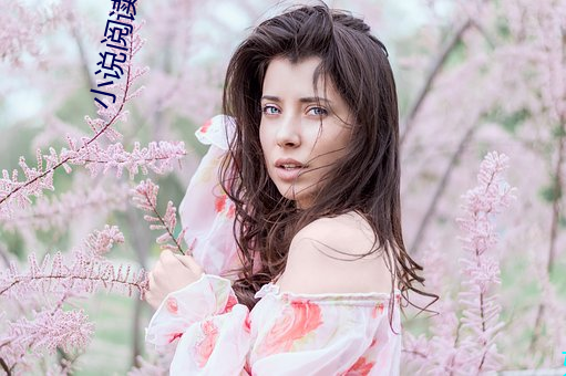 小说阅读网 舞女）
