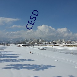 CESD