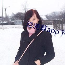 晗差草app下载 （过渡政府）