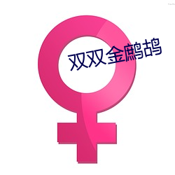 双(shuāng)双金鹧鸪