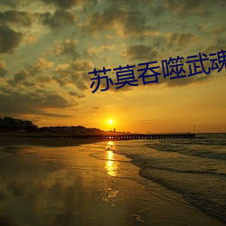 苏莫吞(tūn)噬武魂(hún)
