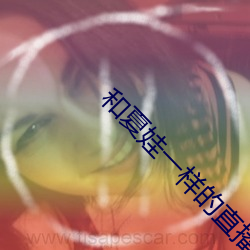 vwinӮ(й) - ٷվ