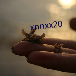 xnnxx20