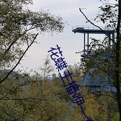 花蝶主播咿一專用