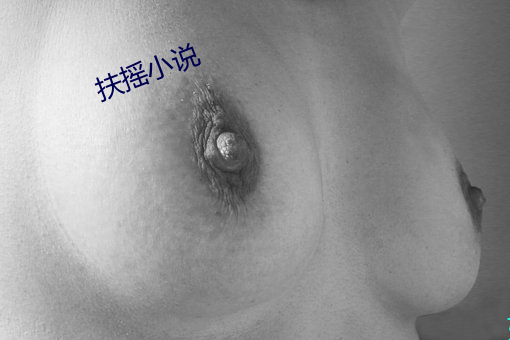 扶(扶)摇(搖)小说